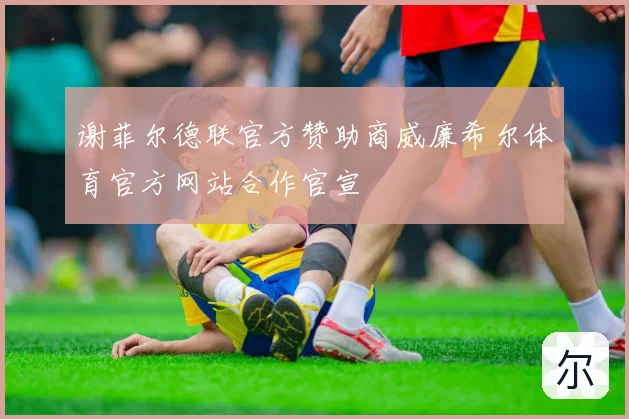 谢菲尔德联官方赞助商威廉希尔体育官方网站合作官宣
